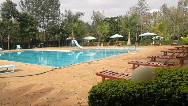 A swimming pool with lounge chairs and umbrellas, surrounded by trees and a stone patio.