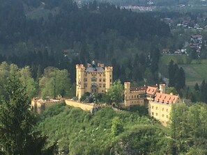 Um castelo com várias torres e um pátio amplo rodeado por floresta densa.