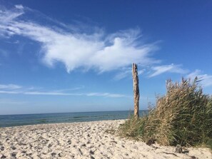 해변