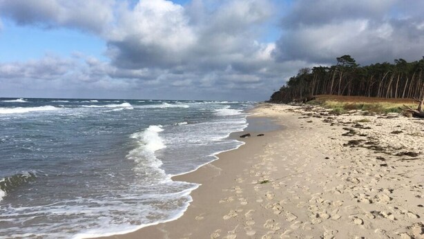 Strand