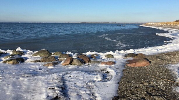 A frozen shoreline with rocks and a clear blue sky. - Schwedenhaus am Kai 14i (Grossenbrode)