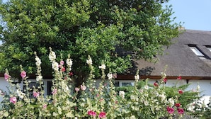 A garden with various flowering plants in front of a house with a sloped roof. - Modern Apartment Near Seabeach (Binz)