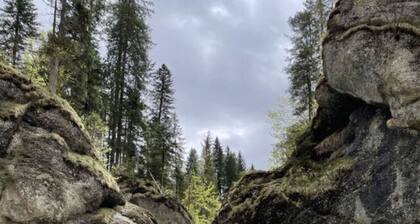 Hochgrat View in Steibis, Haus Akelei