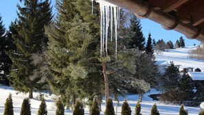 A snow-covered landscape with tall evergreen trees and a wooden structure with a sloped roof. - Hochgrat View in Steibis, Haus Akelei (Oberstaufen)