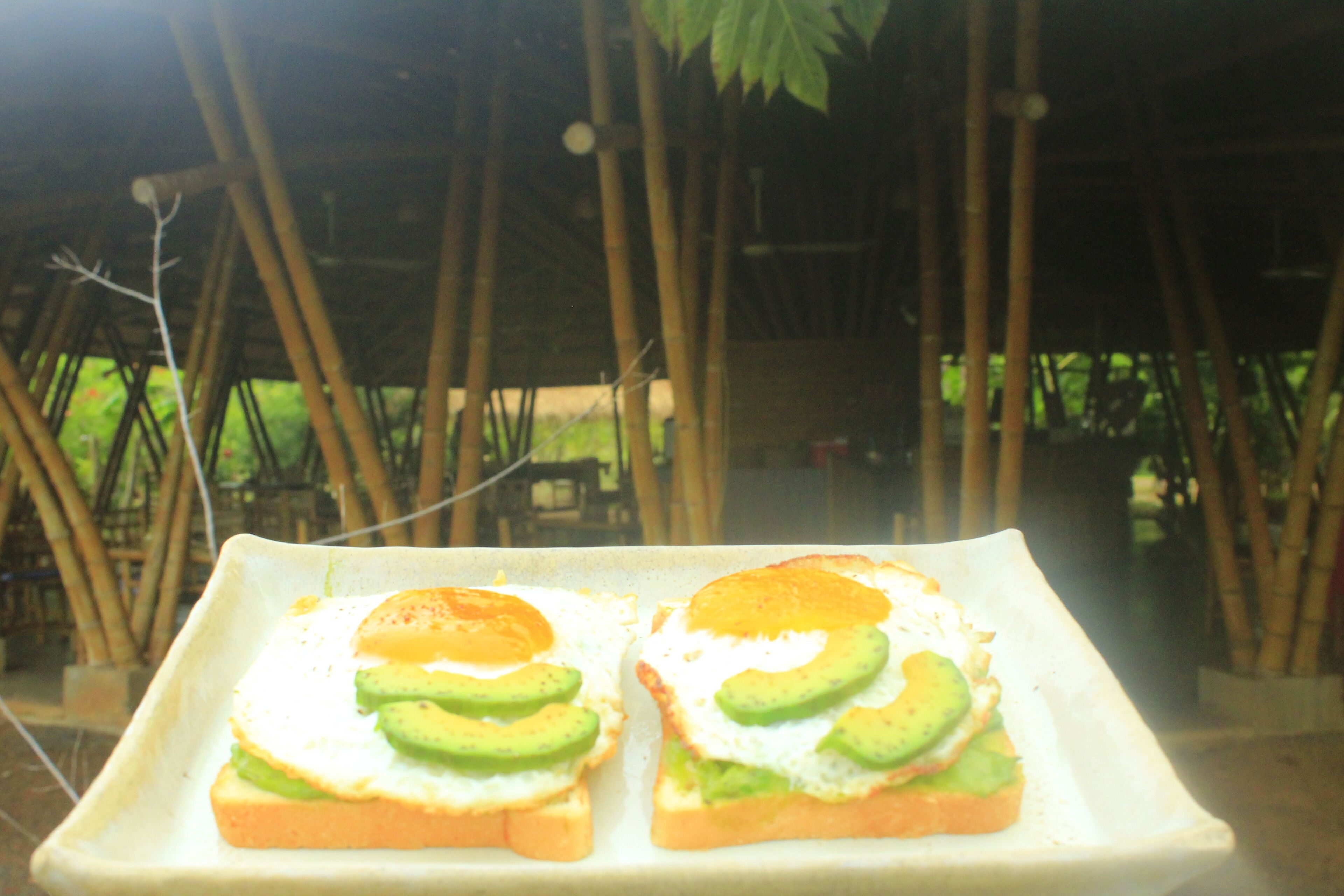 Two square plates with avocado toast and fried eggs.