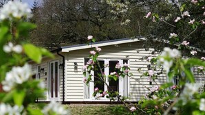 A single-story house with a front porch, a small garden, and a tree with pink flowers in the foreground.