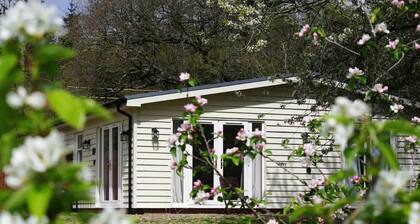 Orchard Cottage