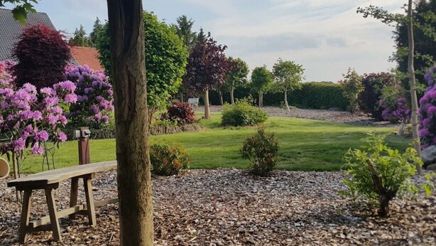 A garden with a bench, a tree, and a lawn.
