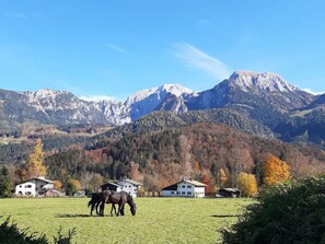 A rural landscape with a field, two horses, and a mountain range in the background. - Holiday Apartment Heinzelmann (Schoenau am Koenigssee)