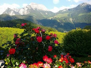 A garden with red roses in the foreground and a mountainous landscape in the background. - Holiday Apartment Heinzelmann (Schoenau am Koenigssee)