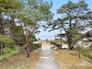 Walk along the winding dirt path through dense pine trees to a serene coastal area.