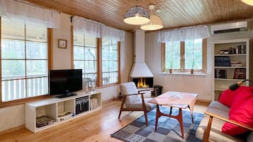 Una sala de estar acogedora con chimenea, suelo de madera, televisor y estantería.