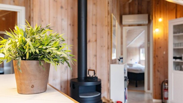 A cozy room with a wooden interior, a large black wood stove with visible flames, and a potted plant on a wooden table.