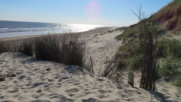 A sandy beach with dunes and a clear view of the ocean. - Holiday Apartment Villa in the Park (Wangerooge)