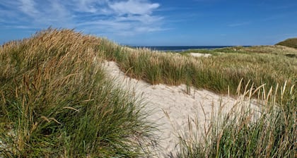 Dunenhuus Ost Modern Retreat