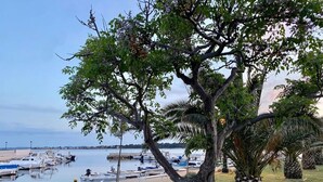 A marina with boats docked, a white bench, and a tree with a large trunk. - Blizina Mora II Modern Retreat (Vir)