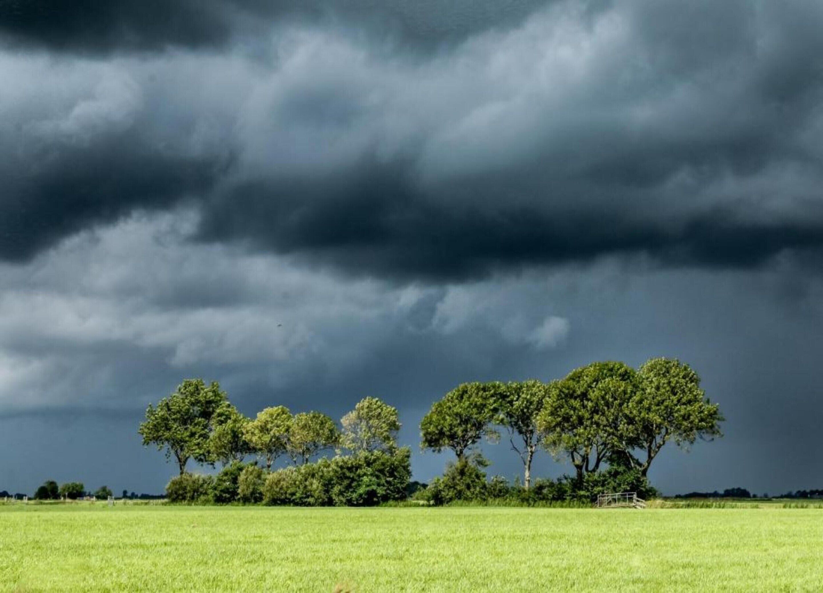 A field with trees and a stormy sky.