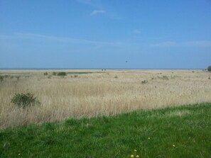A flat, open field with a clear sky and distant horizon.