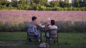 Deux personnes sont assises à une table dans un champ de fleurs violettes. On peut voir des chaises et une table.