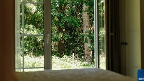 Una habitación con un ventanal grande que da a un bosque frondoso.