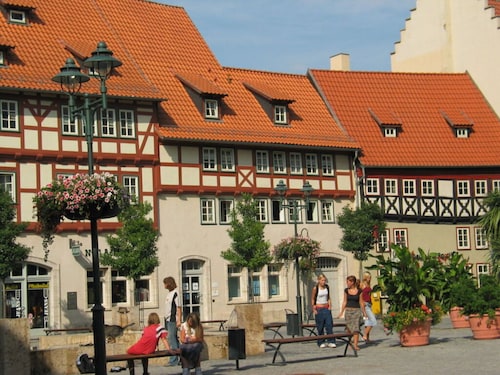 Rose Ambience Modern Retreat