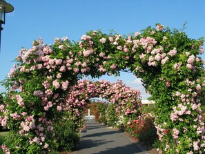 Une arche de roses roses menant à un sentier.