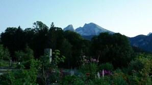 Un jardín con diversas plantas y flores, una estructura de piedra y una montaña al fondo.