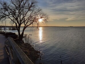 A wooden pier extending into calm water with a leafless tree on the left and a sunset in the background.