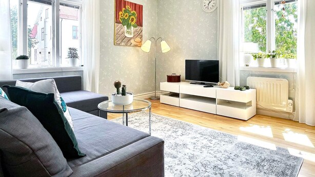 A modern living room with a sofa, TV, and decorative items. - 4 Person Holiday Home in Sodra vi (Sodra Vi)