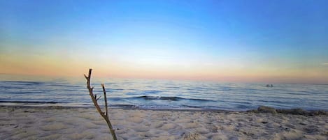 A beach with a single tree in the foreground, calm sea, and clear sky.