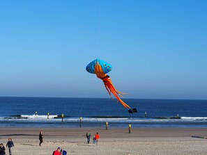 Beach - 6 in het Huis Meerloft (Norderney)