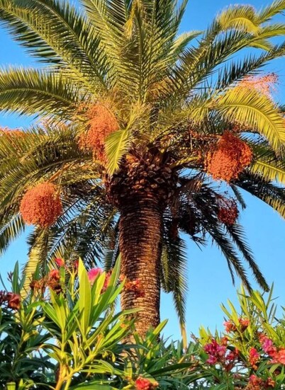 Casa Playa y Mar Comfortable Holiday Residence