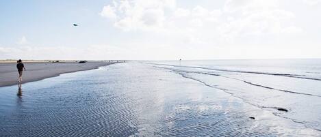 A beach with a person walking on the wet sand.