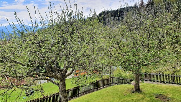 A fenced yard with trees and a grassy area. - Charming Apartment by Worthersee (Techelsberg am Worther See)