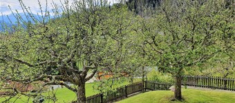 Apartment by Worthersee With Pool
