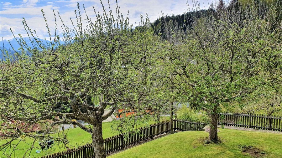 Apartment by Worthersee With Pool