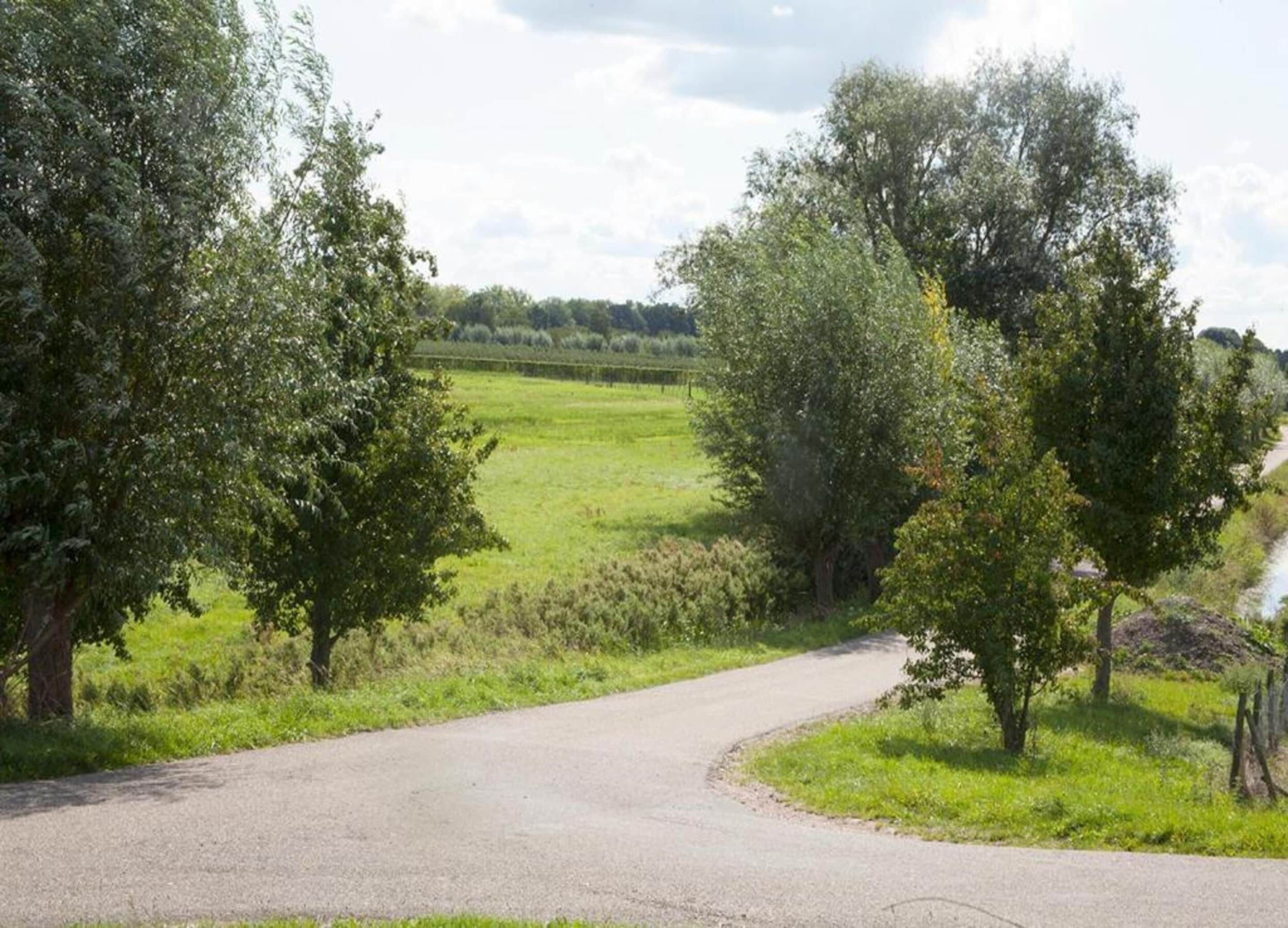 A rural road curving through a green landscape with trees on both sides.