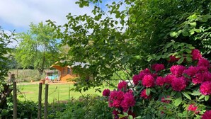 Un jardin agrémenté de fleurs roses éclatantes, une clôture en bois et une maison en arrière-plan.