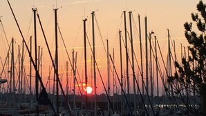 A marina with numerous boats docked, a sunset in the background, and a grassy area in the foreground. - Apartment Holiday Harbor (Grossenbrode)