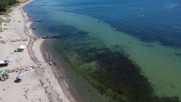A beach with clear water, a sandy shore, and a few umbrellas. - Apartment Holiday Harbor (Grossenbrode)