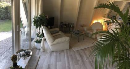 Frog Prince Modern Retreat