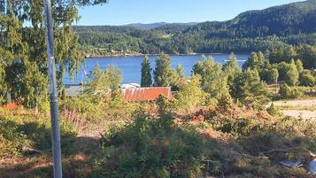 Casa | 3 habitaciones y muebles diferentes