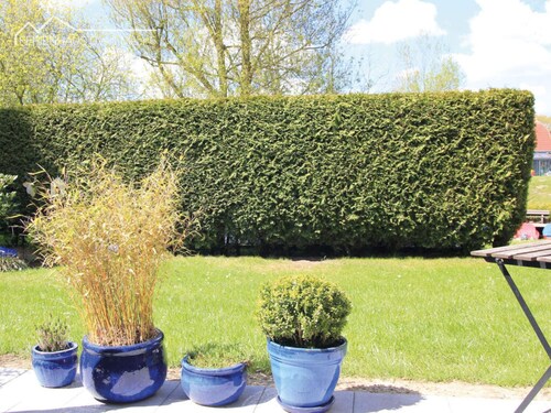 Overt Meer 6 Modern Retreat