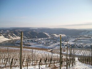 A vineyard with rows of grapevines and a town in the background. - Voor 8 tot 12 Personen (Neumagen-Dhron)