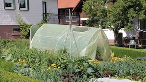 A garden with a greenhouse structure amidst various plants and flowers.