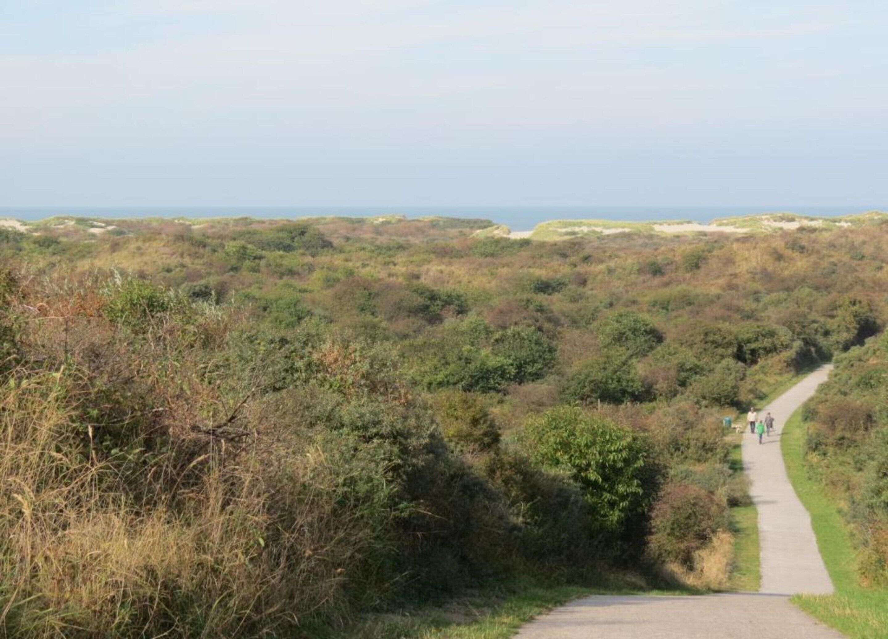 Een pad door een natuurlandschap met uitzicht op de zee in de verte.