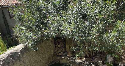 Maison Provençale de Charme Avec Piscine