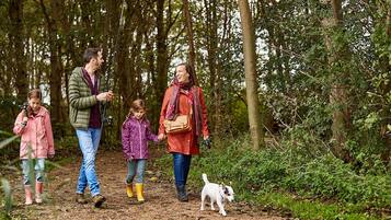 A family walking on a forest path with a dog.