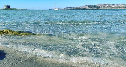 Holiday Home Stintino With Stunning Sea View