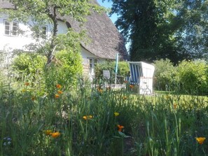 A house with a thatched roof, surrounded by a garden with tall grass and wildflowers.